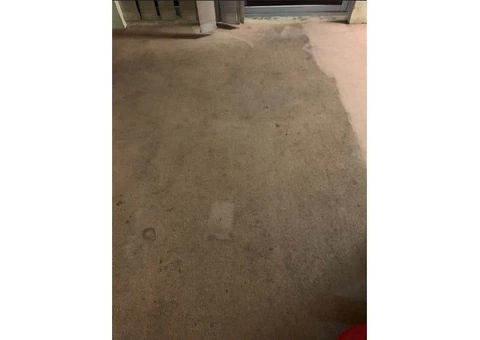 Carpet Steam Cleaning