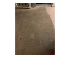 Carpet Steam Cleaning