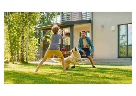 Make Your Lawn The Envy Of The Neighborhood With Green Up Your Lawn