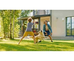 Make Your Lawn The Envy Of The Neighborhood With Green Up Your Lawn