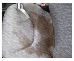 Professional Upholstery Cleaning Logan