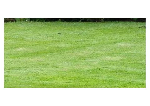 Commercial Gardening Services | Commercial Garden Maintenance | Bayside Gardening