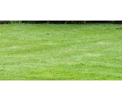 Commercial Gardening Services | Commercial Garden Maintenance | Bayside Gardening