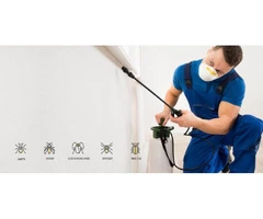 Top Pest control services in Melbourne