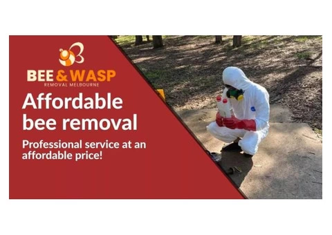 Bee And Wasp Removal French Island - 5/7