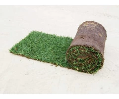 Make Your Property Look Greener Forever With Palmetto Buffalo Turf