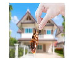 Flatline Pest Control - Cockroach Control Central Coast