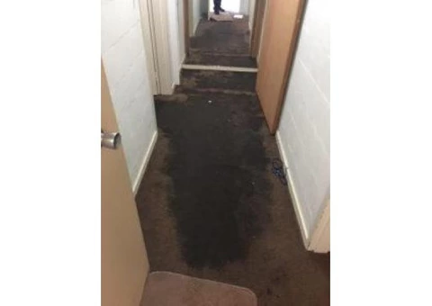 Wet and Flood Damage Restoration Glen Iris | Wet Carpet Cleaners