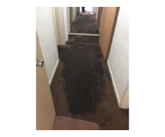 Wet and Flood Damage Restoration Glen Iris | Wet Carpet Cleaners