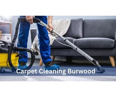 Burwood Carpet Cleaning