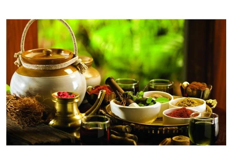 Ayurveda Consultation Sydney | Rafeena – Ayurveda Medicine Practitioner - 2/2