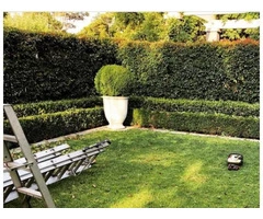 Garden Maintenance Ripponlea | Gardeners Ripponlea| Bayside Gardening