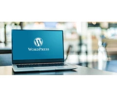 Australia's Leading WordPress Development Company - Attalla Digital