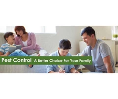 Eco Pest Control - Oz Pest Adelaide