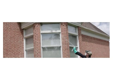 Frontline Wasp Removal Sydney - 2/2