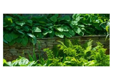 GPS Tracking Solutions | GPS Tracking | Bayside Gardening