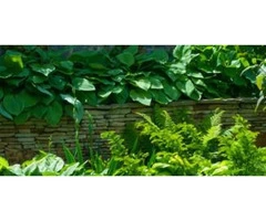 GPS Tracking Solutions | GPS Tracking | Bayside Gardening