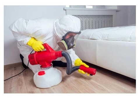 Pest Control Ngunnawal