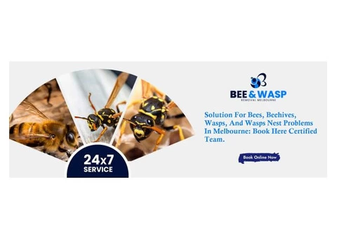 Wasp Removal Melbourne - 5/8