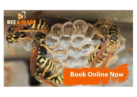 Wasp Removal Melbourne - 8/8