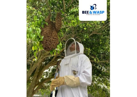 Beehive Removal Melbourne - 4/8