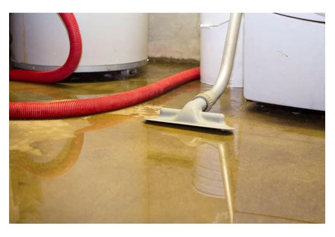 Flood Damage Restoration Heidelberg - 2/3