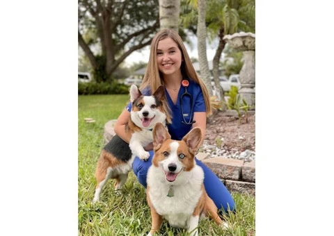 Boulevard Animal Hospital - 4/4