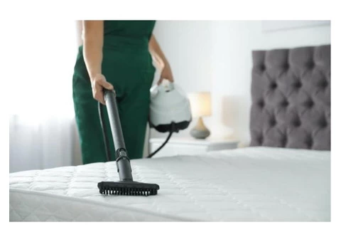 Professional mattress cleaning in albany creek