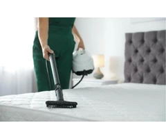 Professional mattress cleaning in albany creek