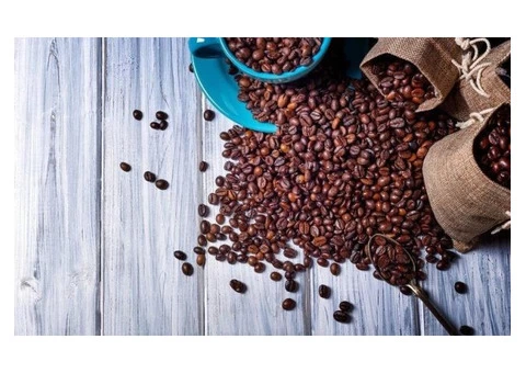 Buy Green Coffee Beans Online