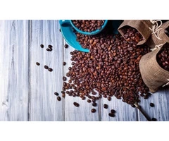 Buy Green Coffee Beans Online