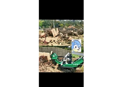 Stump and tree removal services - 2/7