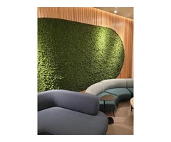 Moss Wall Supplier in Australia