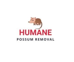 Humane Possum Removal Lara