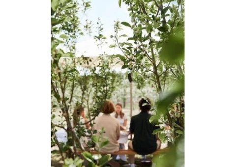 function rooms Mornington