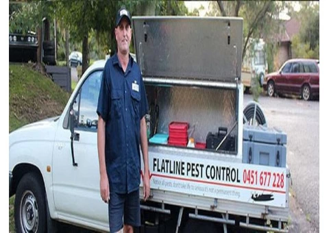Flatline Pest Control - Solar Panel Pigeon Control Central Coast