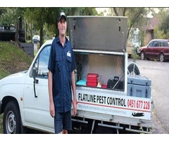 Flatline Pest Control - Solar Panel Pigeon Control Central Coast