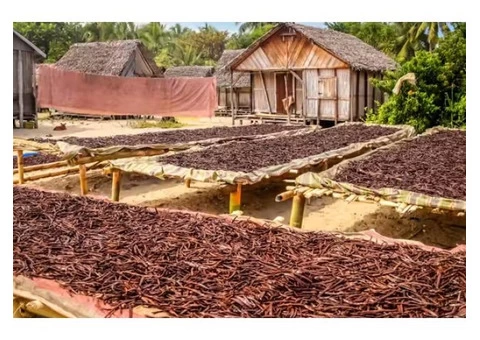 Natural vanilla extract Australia