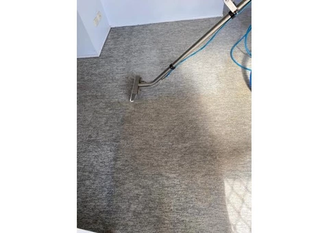 Affordable and Eco-friendly Carpet Cleaning Services in Brisbane