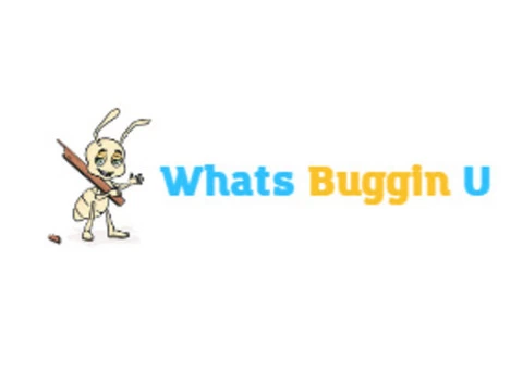 Whats Buggin U