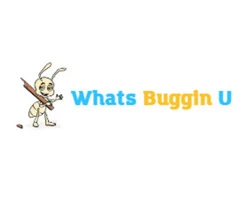 Whats Buggin U
