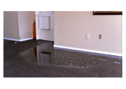 Flood Damage Restoration Belconnen