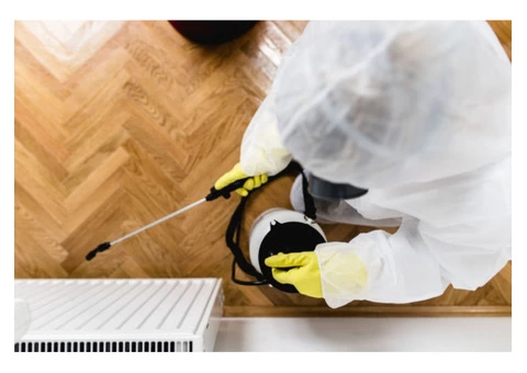 Pest Control Dickson