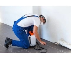 Pest Control Brisbane