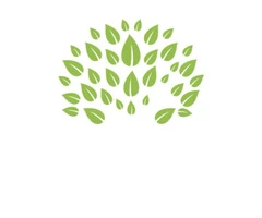 Page Title	 Ayurveda Centre in Parramatta, Sydney | Absolute Ayurvedic Care - Liv Ayurveda