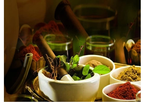 Page Title	 Ayurveda Centre in Parramatta, Sydney | Absolute Ayurvedic Care - Liv Ayurveda - 3/3