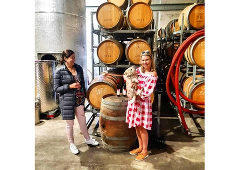 Wine Tours Margaret River - 2/5