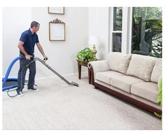 Carpet Cleaning The Basin