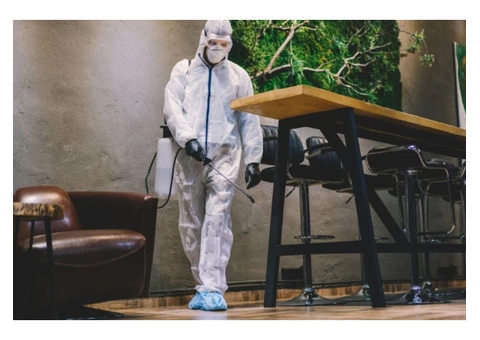 Pest Control Hoskinstown