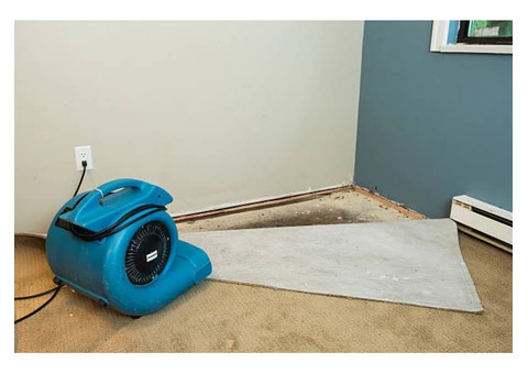 Revive Water Damage Restoration Melbourne - 6/6